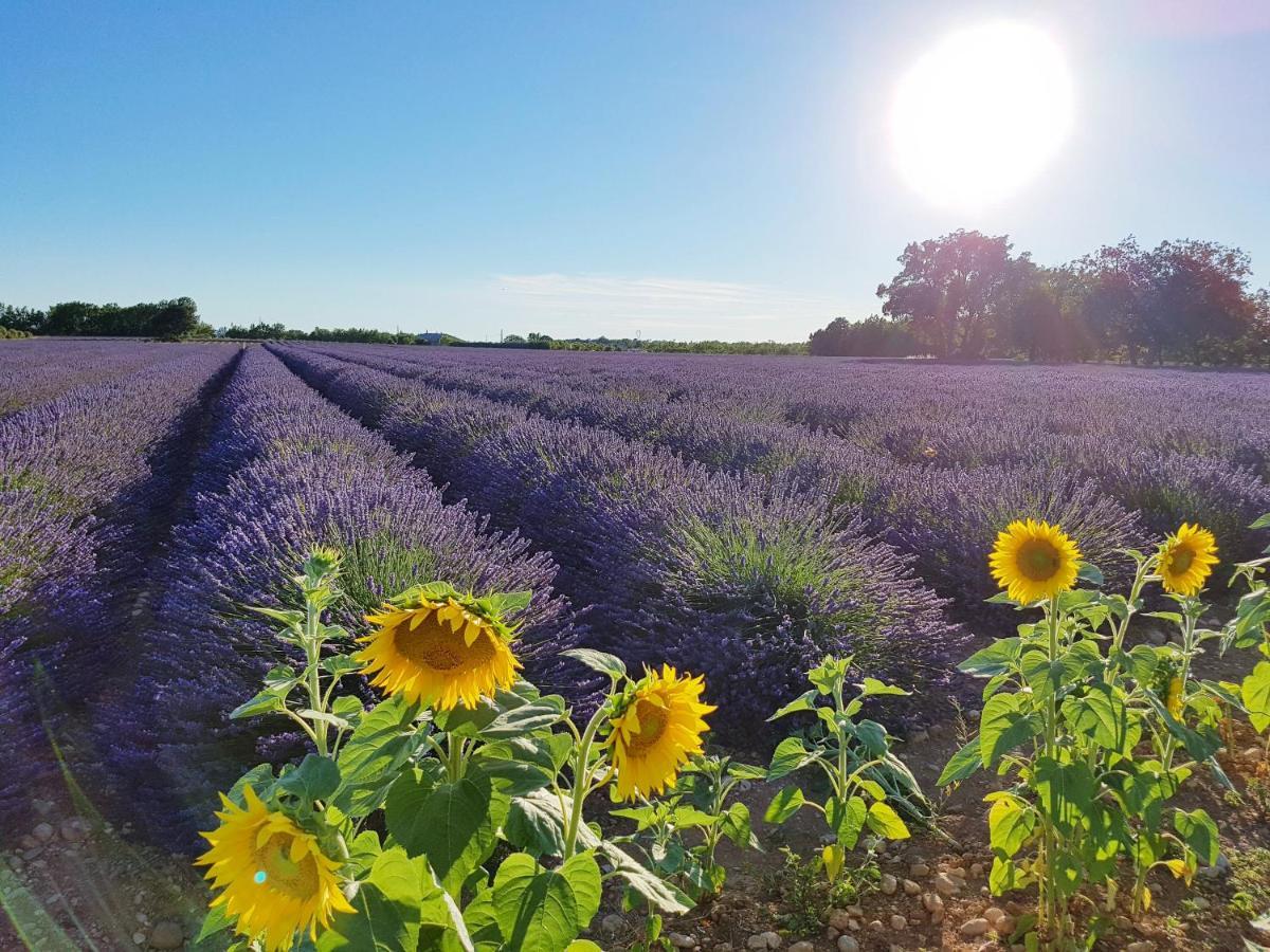 Villa Lavanda Trans-en-Provence Kültér fotó
